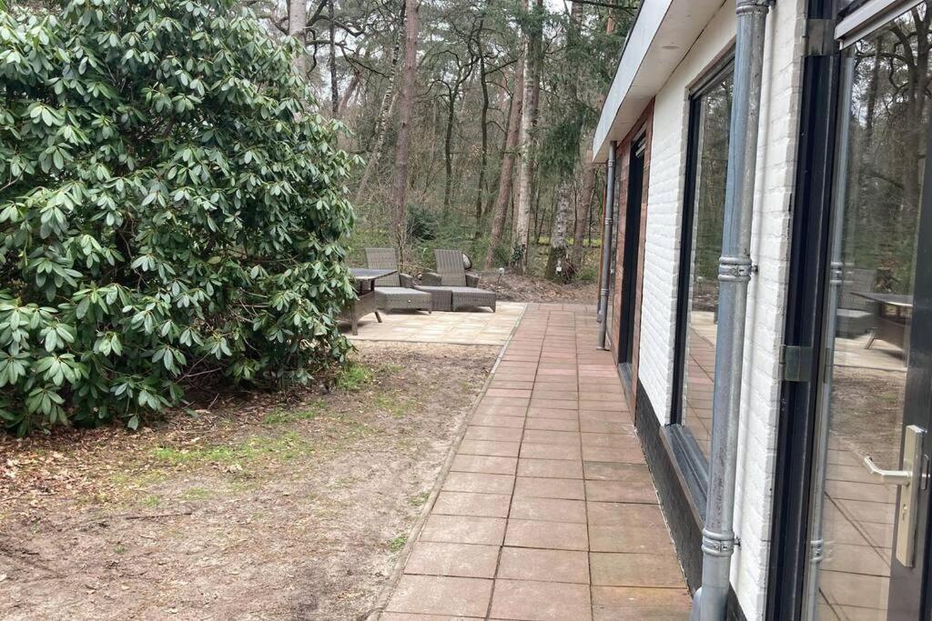 Kindvriendelijke Bungalow In Het Bos Bij Zwemmeer. Vilsteren Dış mekan fotoğraf