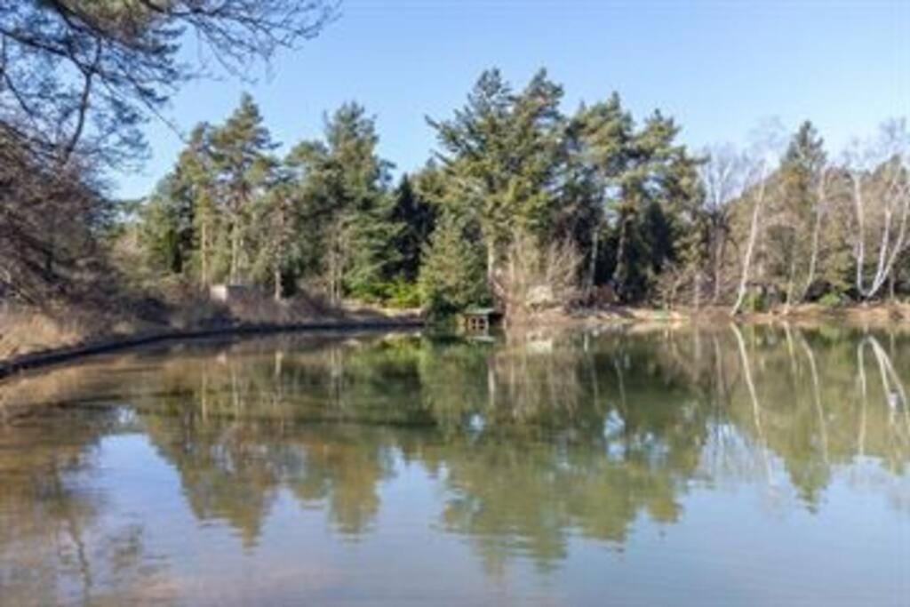 Kindvriendelijke Bungalow In Het Bos Bij Zwemmeer. Vilsteren Dış mekan fotoğraf