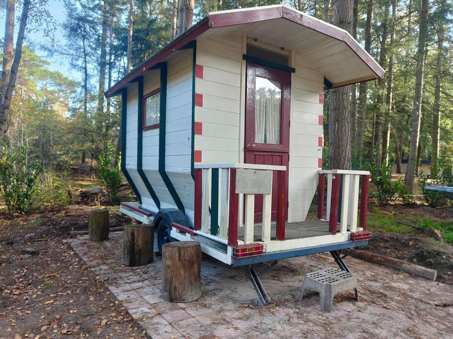 Kindvriendelijke Bungalow In Het Bos Bij Zwemmeer. Vilsteren Dış mekan fotoğraf