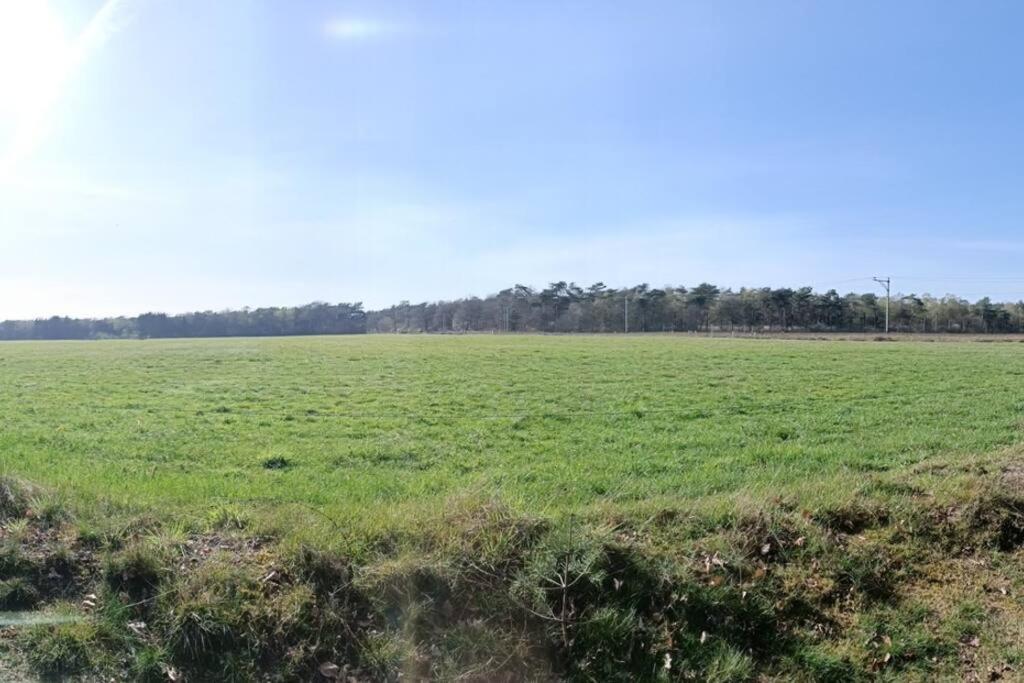 Kindvriendelijke Bungalow In Het Bos Bij Zwemmeer. Vilsteren Dış mekan fotoğraf
